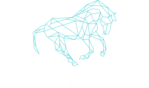 Gallant Capital